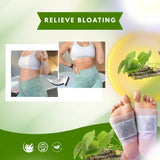 Herbal Giloy Detox Foot Patch ( Buy 1 Get 1 Free- Ayurvedic Guduchi & Bee Venom Blend | Overnight Body Cleanse, Joint Pain Relief & Deep Sleep Support | Natural Immunity Booster Patch for Men & Women