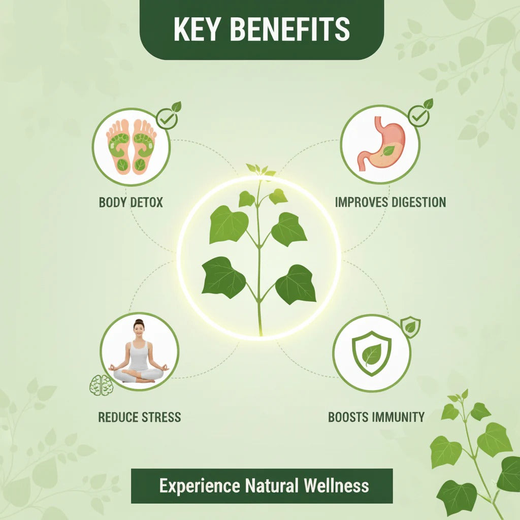 Herbal Giloy Detox Foot Patch ( Buy 1 Get 1 Free- Ayurvedic Guduchi & Bee Venom Blend | Overnight Body Cleanse, Joint Pain Relief & Deep Sleep Support | Natural Immunity Booster Patch for Men & Women
