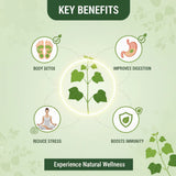 Herbal Giloy Detox Foot Patch ( Buy 1 Get 1 Free- Ayurvedic Guduchi & Bee Venom Blend | Overnight Body Cleanse, Joint Pain Relief & Deep Sleep Support | Natural Immunity Booster Patch for Men & Women