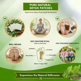 Herbal Giloy Detox Foot Patch ( Buy 1 Get 1 Free- Ayurvedic Guduchi & Bee Venom Blend | Overnight Body Cleanse, Joint Pain Relief & Deep Sleep Support | Natural Immunity Booster Patch for Men & Women